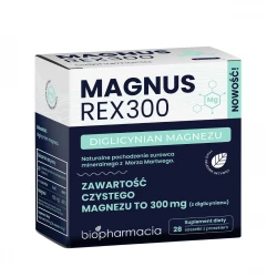 Import produktów XML malowia.pl